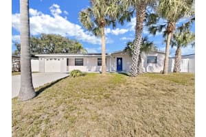 10711 Dowry Ave, TAMPA