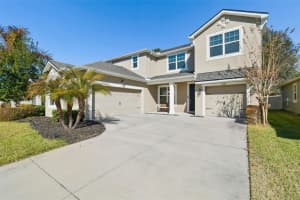 2604 Valley Sunset Ln, VALRICO