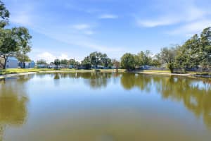 3814 OAK DRIVE, TAMPA, FL 33611 - MLS#MFRTB8473178