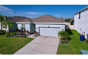 8341 BOWER BASS CIRCLE, WESLEY CHAPEL, FL 33545 - MLS#MFRTB8473185