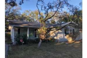 4629 LEONA STREET, TAMPA, FL 33629 - MLS#MFRTB8473204