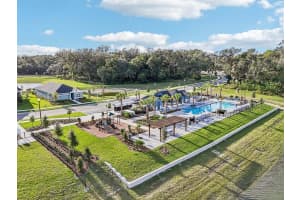 5836 NATIVE OAK STREET, MOUNT DORA, FL 32757 - MLS#MFRTB8473208