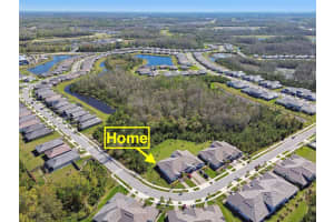 16710 SHELL BAY DRIVE, LAND O LAKES, FL 34638 - MLS#MFRTB8473237