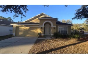 10544 Egret Haven Ln, RIVERVIEW