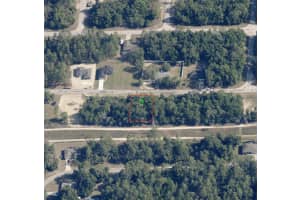 2654 RUTLAND DRIVE, CITRUS SPRINGS, FL 34434 - MLS#MFRTB8473261
