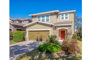 16316 Bayberry View Dr, LITHIA