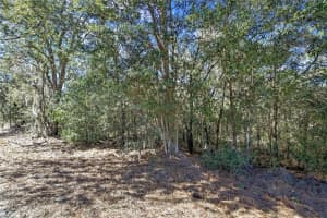 3292 ANNAPOLIS AVENUE, HERNANDO, FL 34442 - MLS#MFRTB8473271