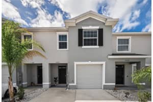 33034 Major Oak Dr, WESLEY CHAPEL