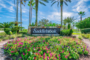 29244 WHIPPORWILL LANE, WESLEY CHAPEL, FL 33543 - MLS#MFRTB8473295