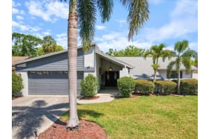 8305 Palma Vista Ln, TAMPA