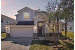 9609 Royal Fern Ct, TAMPA