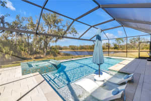 9141 WARM SPRINGS CIRCLE, PARRISH, FL 34219 - MLS#MFRTB8473323