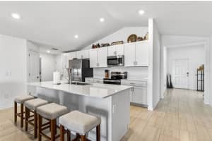 15217 ZIRCON RED DRIVE, WIMAUMA, FL 33598 - MLS#MFRTB8473358