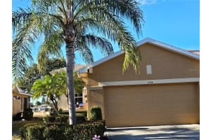 1134 JAMESON GREENS DRIVE, SUN CITY CENTER, FL 33573 - MLS#MFRTB8473405