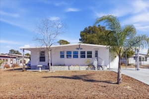 8012 MONTROSE AVENUE, BROOKSVILLE, FL 34613 - MLS#MFRTB8473448