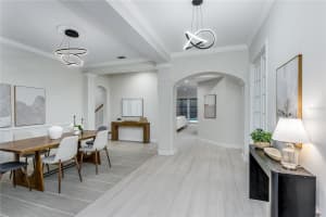 11909 MANDEVILLA COURT, TAMPA, FL 33626 - MLS#MFRTB8473452