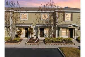 8532 Brushleaf Way, TAMPA