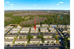 8532 BRUSHLEAF WAY, TAMPA, FL 33647 - MLS#MFRTB8473459