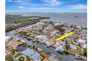 405 DRIFTWOOD DRIVE, PALM HARBOR, FL 34683 - MLS#MFRTB8473464