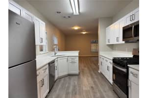 14938 DEER MEADOW DRIVE, LUTZ, FL 33559 - MLS#MFRTB8473468