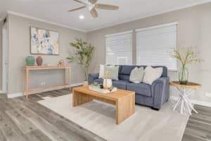 29250 US HIGHWAY 19 N #537, CLEARWATER, FL 33761 - MLS#MFRTB8473487