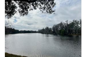 2584 LAURELWOOD DRIVE, CLEARWATER, FL 33763 - MLS#MFRTB8473498