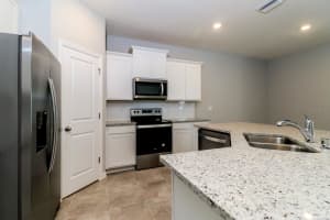 31209 MANGO FADE WAY, SAN ANTONIO, FL 33576 - MLS#MFRTB8473514