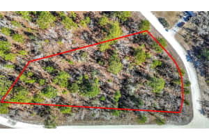 16070 SHELDRAKE LOOP, WEEKI WACHEE, FL 34614 - MLS#MFRTB8473517