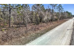 16070 SHELDRAKE LOOP, WEEKI WACHEE, FL 34614 - MLS#MFRTB8473517