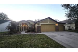 14818 Heronglen Dr, LITHIA 14818 Heronglen Dr, LITHIA