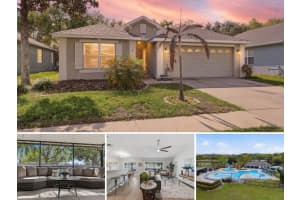 6039 Desert Peace Ave, LAND O LAKES 6039 Desert Peace Ave, LAND O LAKES