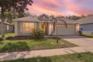 6039 DESERT PEACE AVENUE, LAND O LAKES, FL 34639 - MLS#MFRTB8473562
