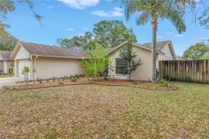4806 COUNTRY HILLS DRIVE, TAMPA, FL 33624 - MLS#MFRTB8473591