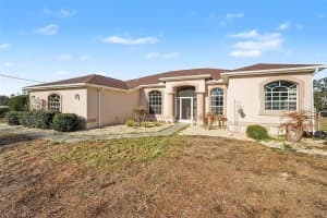 16031 DONNEY MOOR LANE, SPRING HILL, FL 34610 - MLS#MFRTB8473601