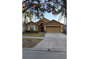 8507 Berch Hallow Ct, TAMPA 8507 Berch Hallow Ct, TAMPA