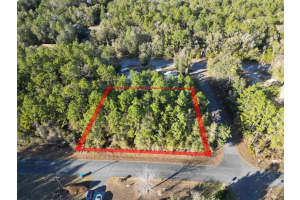 3153 MAY STREET, INVERNESS, FL 34453 - MLS#MFRTB8473686