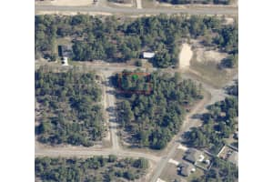 10429 VICKI TERRACE, DUNNELLON, FL 34433 - MLS#MFRTB8473711