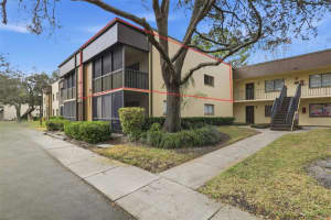 11808 Raintree Lake Ln #c, TAMPA