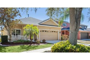 9417 LEATHERWOOD AVENUE, TAMPA, FL 33647 - MLS#MFRTB8473763