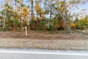 POWELL RD, BROOKSVILLE, FL 34604 - MLS#MFRTB8473778