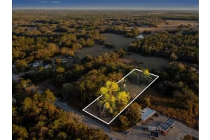 POWELL RD, BROOKSVILLE, FL 34604 - MLS#MFRTB8473778