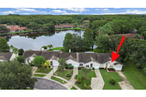 3451 MERMOOR DRIVE, PALM HARBOR, FL 34685 - MLS#MFRTB8473799