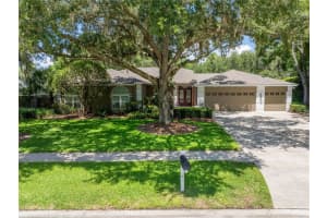 18006 Clear Lake Dr, LUTZ