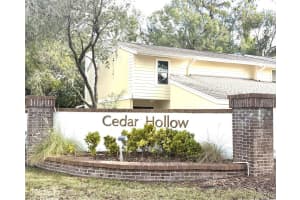 11241 CEDAR HOLLOW LANE, TAMPA, FL 33618 - MLS#MFRTB8473822