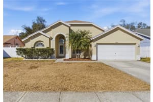 13506 Fawn Ridge Blvd, TAMPA