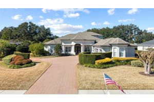 6113 Audubon Manor Blvd, LITHIA 6113 Audubon Manor Blvd, LITHIA