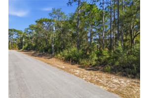 2780 ELGIN PLACE, CITRUS SPRINGS, FL 34434 - MLS#MFRTB8473892