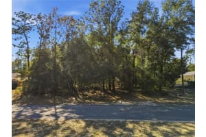 8420 FORESOME WAY, CITRUS SPRINGS, FL 34434 - MLS#MFRTB8473893