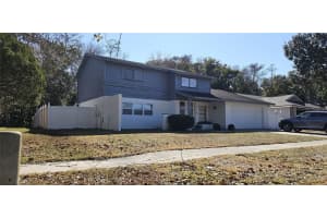 4520 Grainary Ave, TAMPA