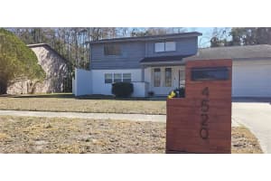 4520 GRAINARY AVENUE, TAMPA, FL 33624 - MLS#MFRTB8473894